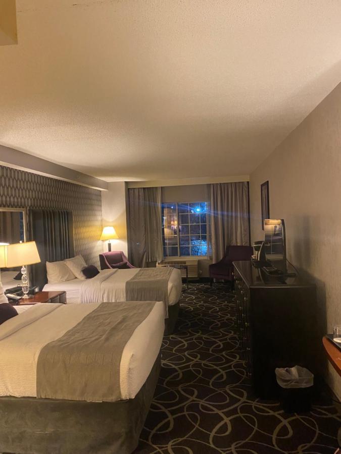 Park Manor Hotel 클리프턴파크 외부 사진 A room at the Hilton Garden Inn