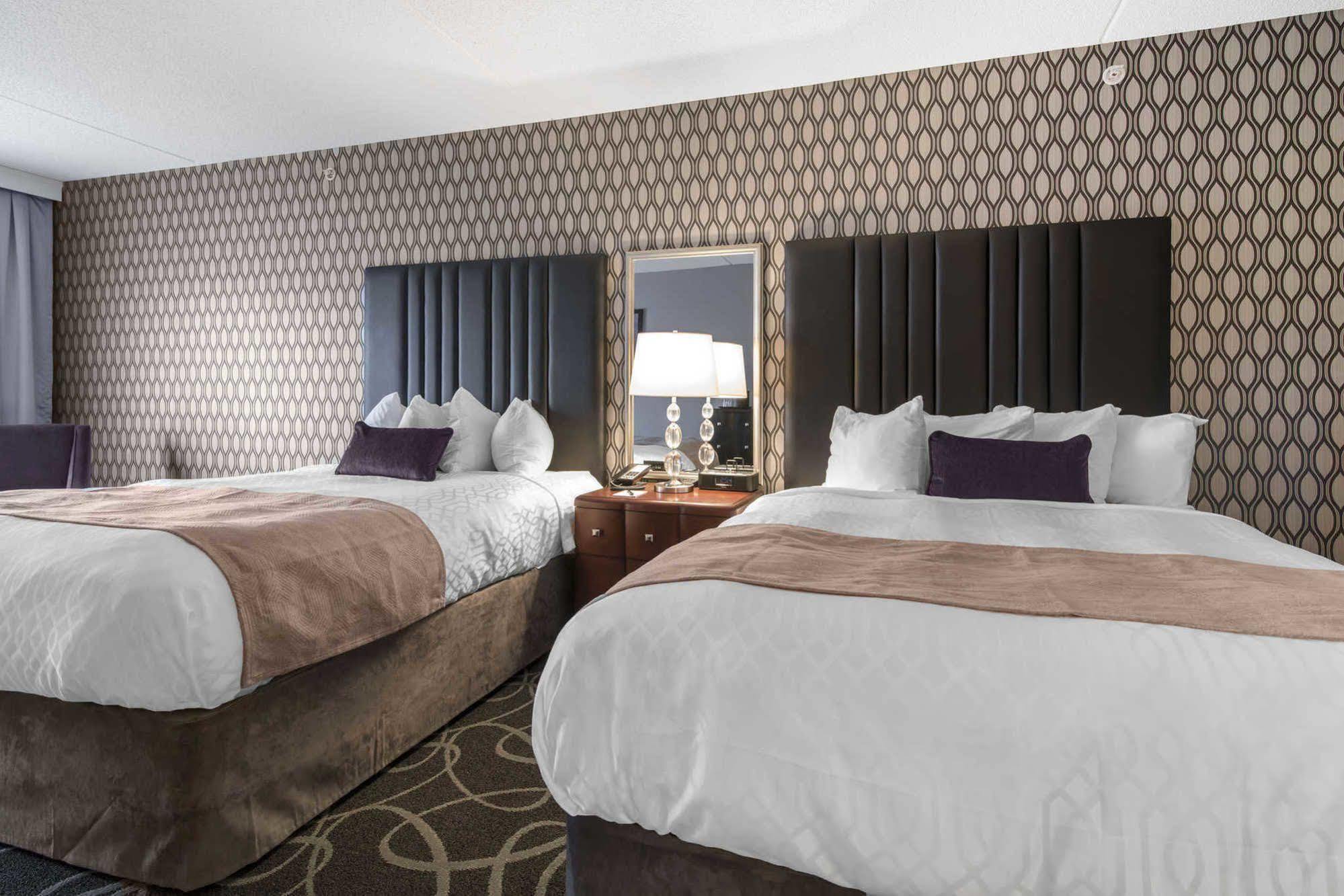 Park Manor Hotel 클리프턴파크 외부 사진 A typical room at the Hilton Garden Inn
